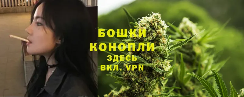 Бошки марихуана White Widow  Гусь-Хрустальный 